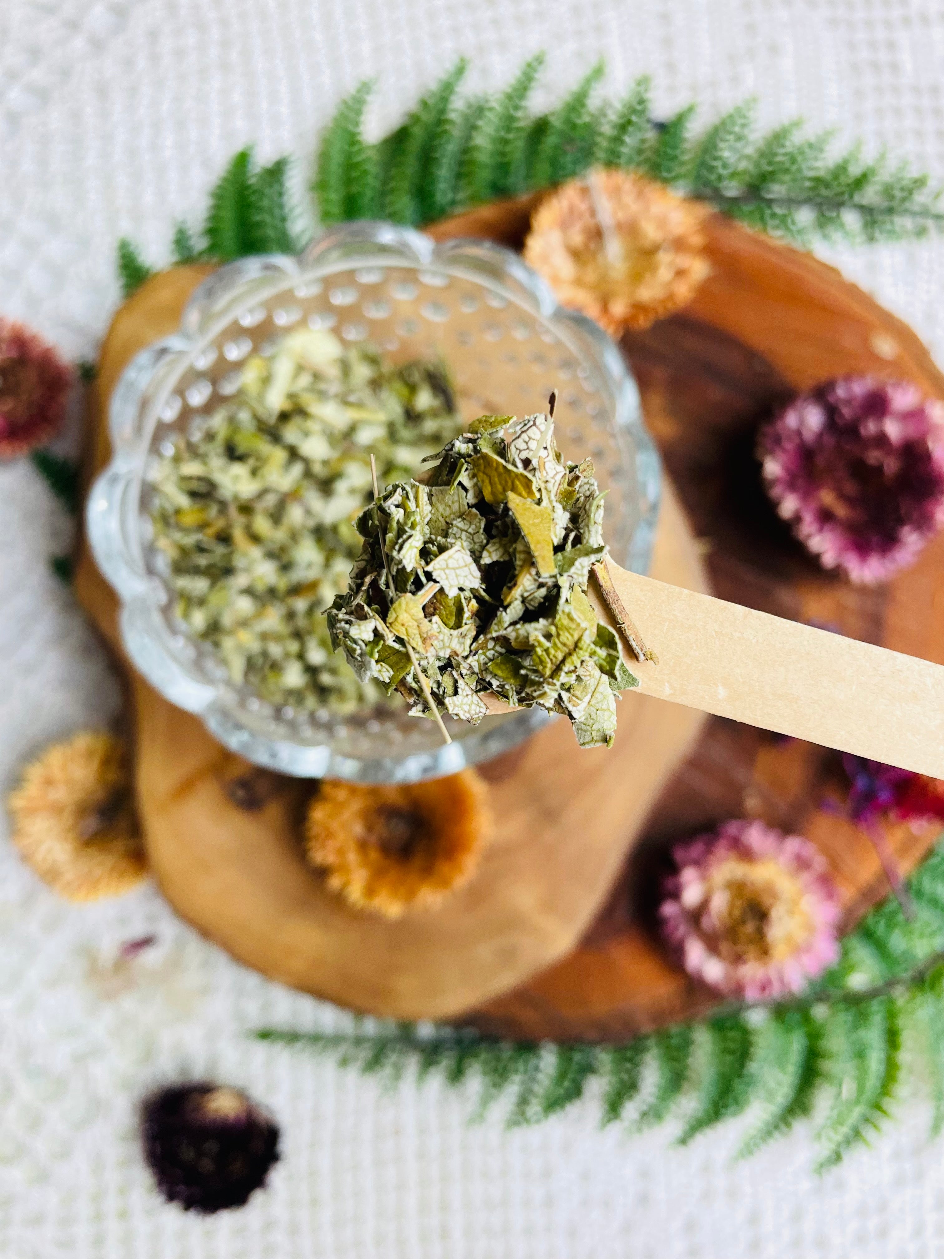Yerba Santa