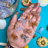 Agate Carved Mini Fish
