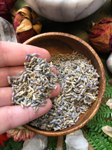 Lavender for Calming Relaxation