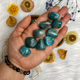 Apatite Tumbled Stone for Motivation