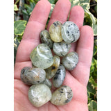 Prehnite Tumbled Stone