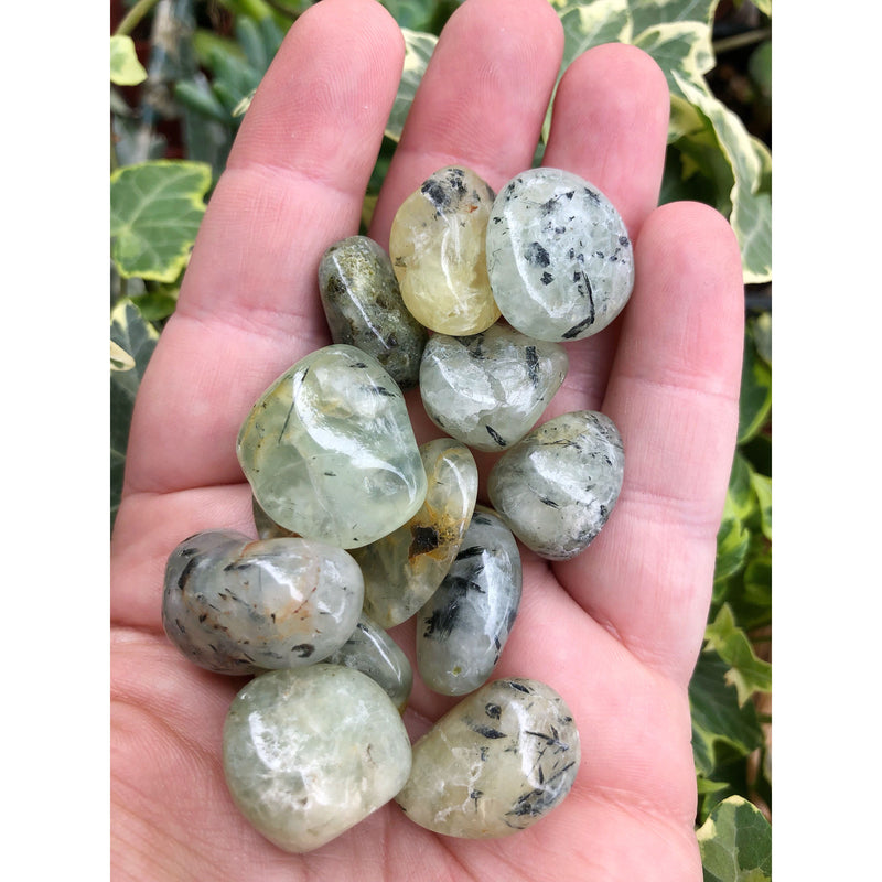 Prehnite Tumbled Stone
