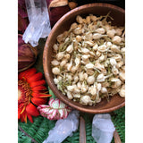 Jasmine Flowers for Divination & Cleansing