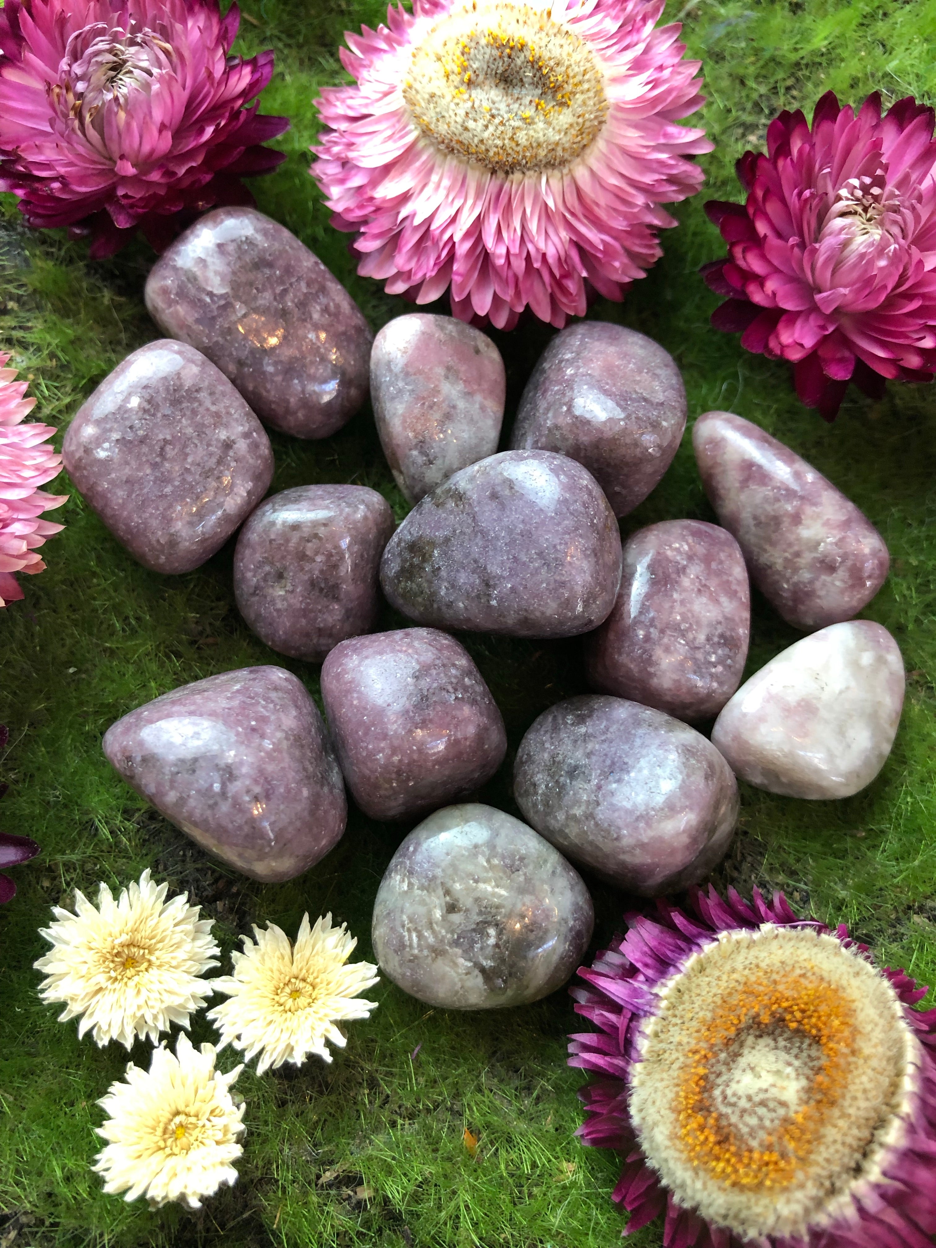 Lepidolite Tumbled Stone