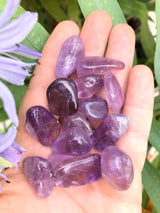Amethyst Tumbled Stone for Spiritual Protection