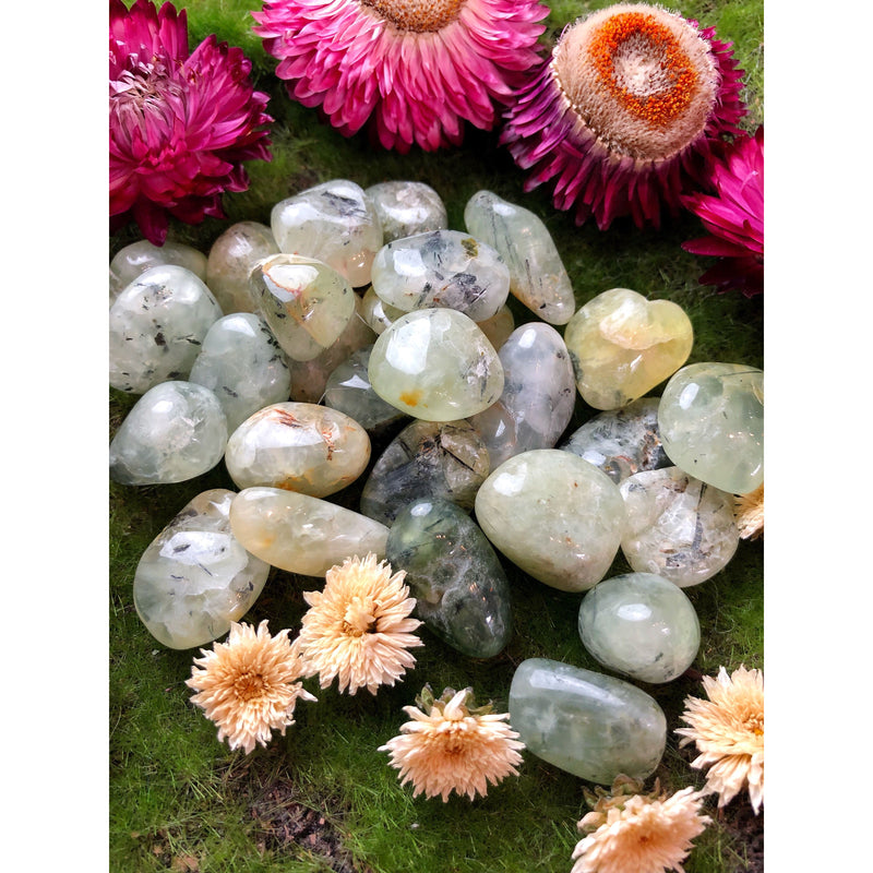 Prehnite Tumbled Stone