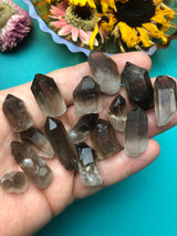 Smoky Quartz Raw Points