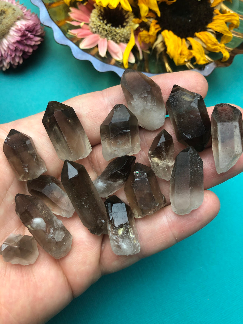 Smoky Quartz Raw Points