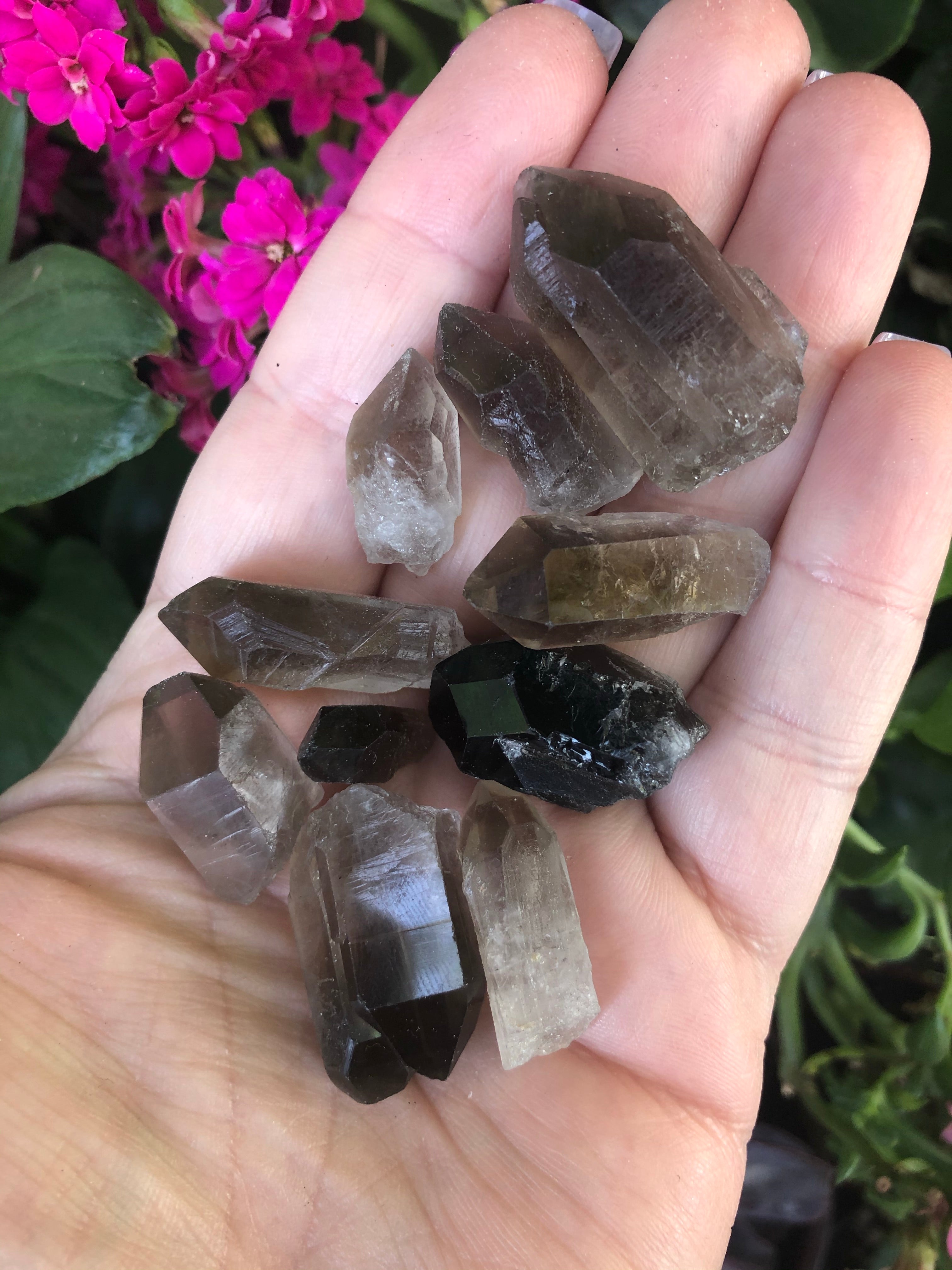 Smoky Quartz Raw Points