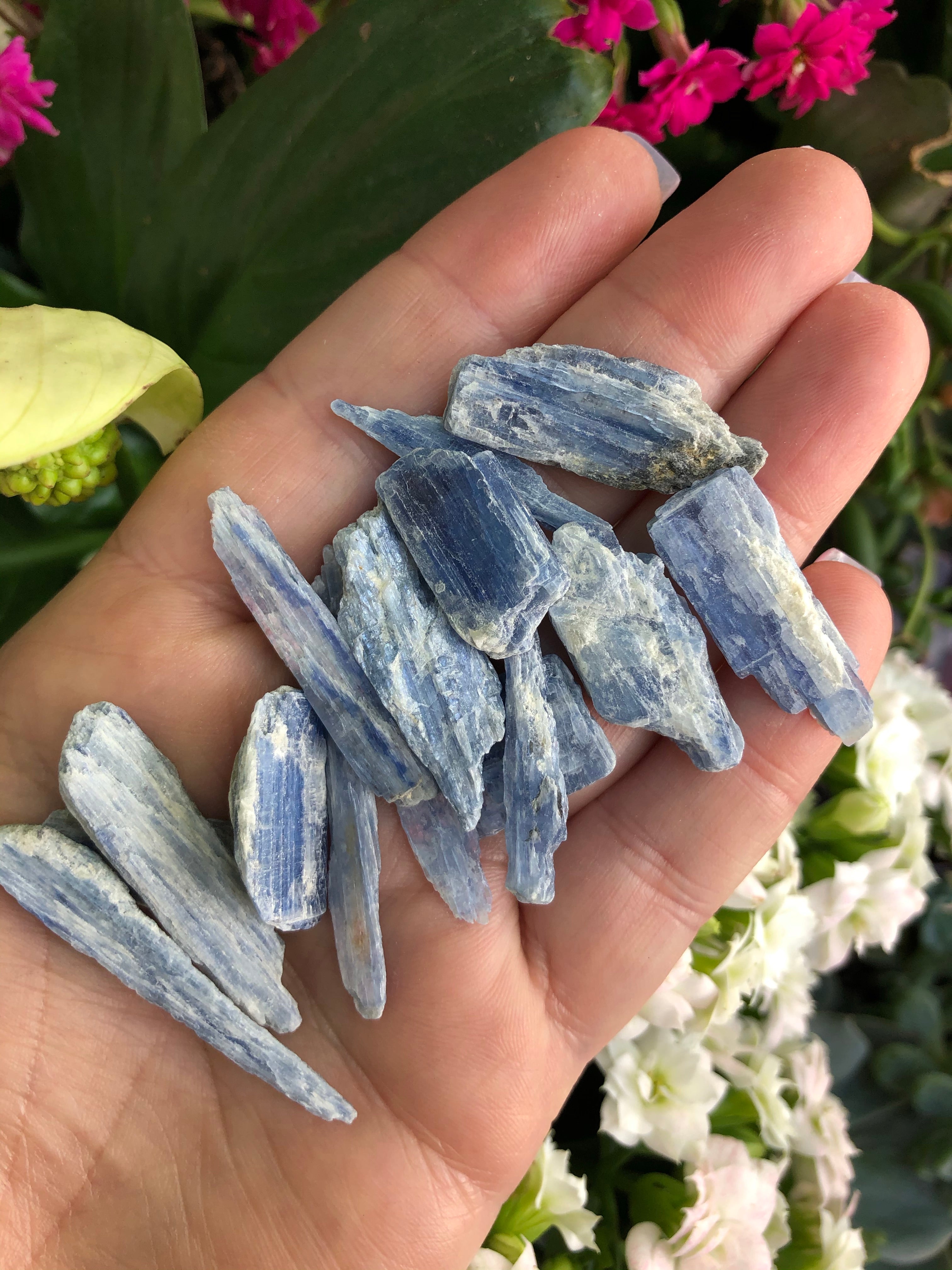Kyanite Raw Pieces for Tranquility