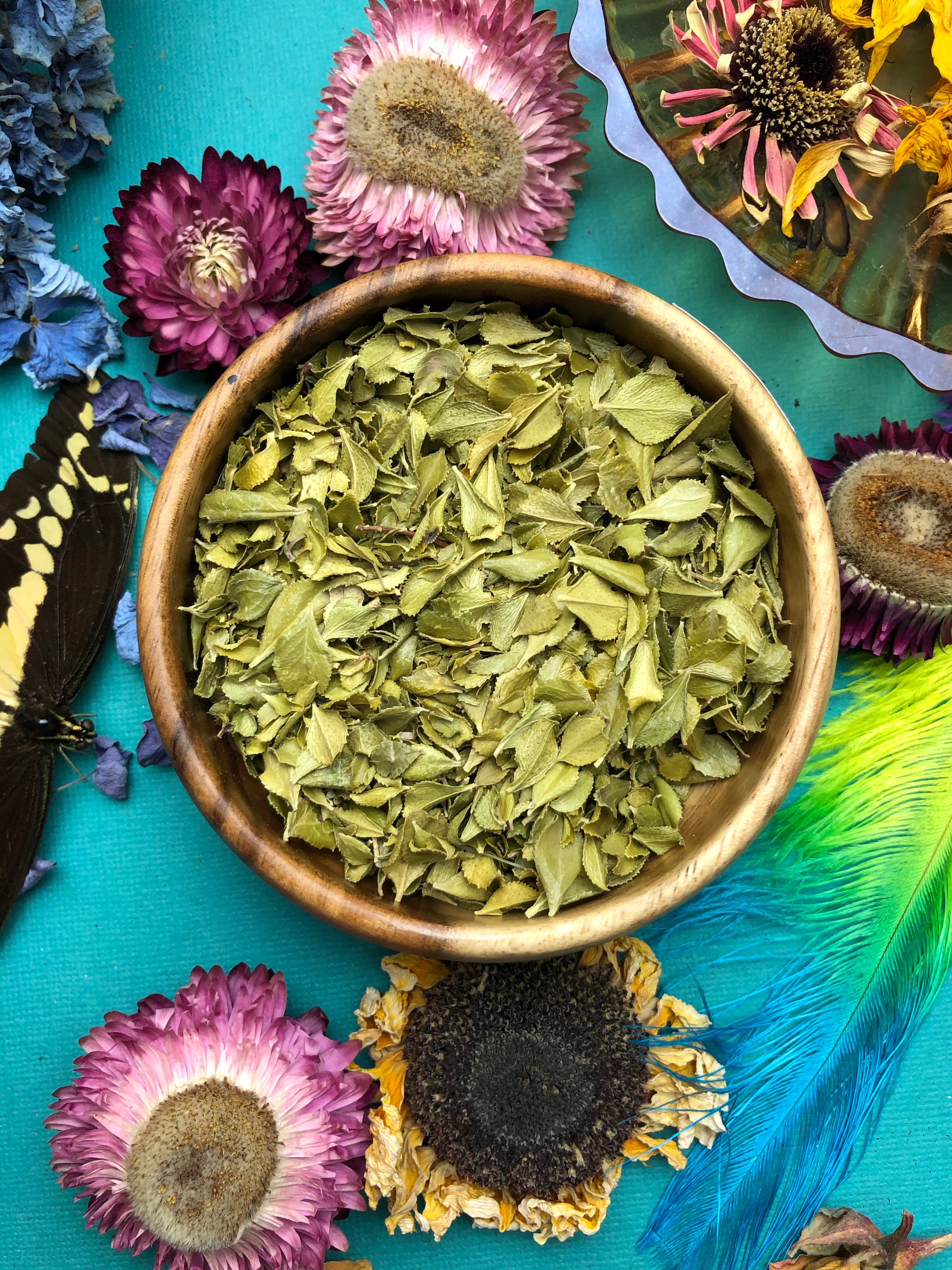 Buchu Leaf for Psychic Powers