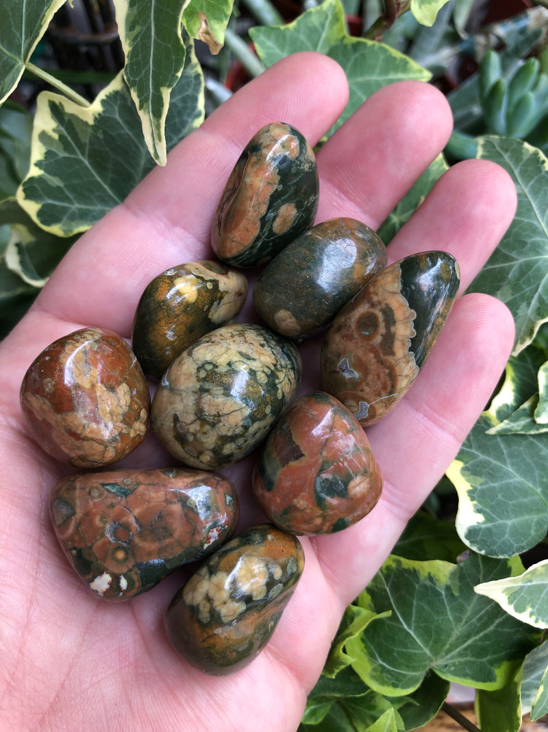 Rhyolite Tumbled Stone For a Positive Perspective
