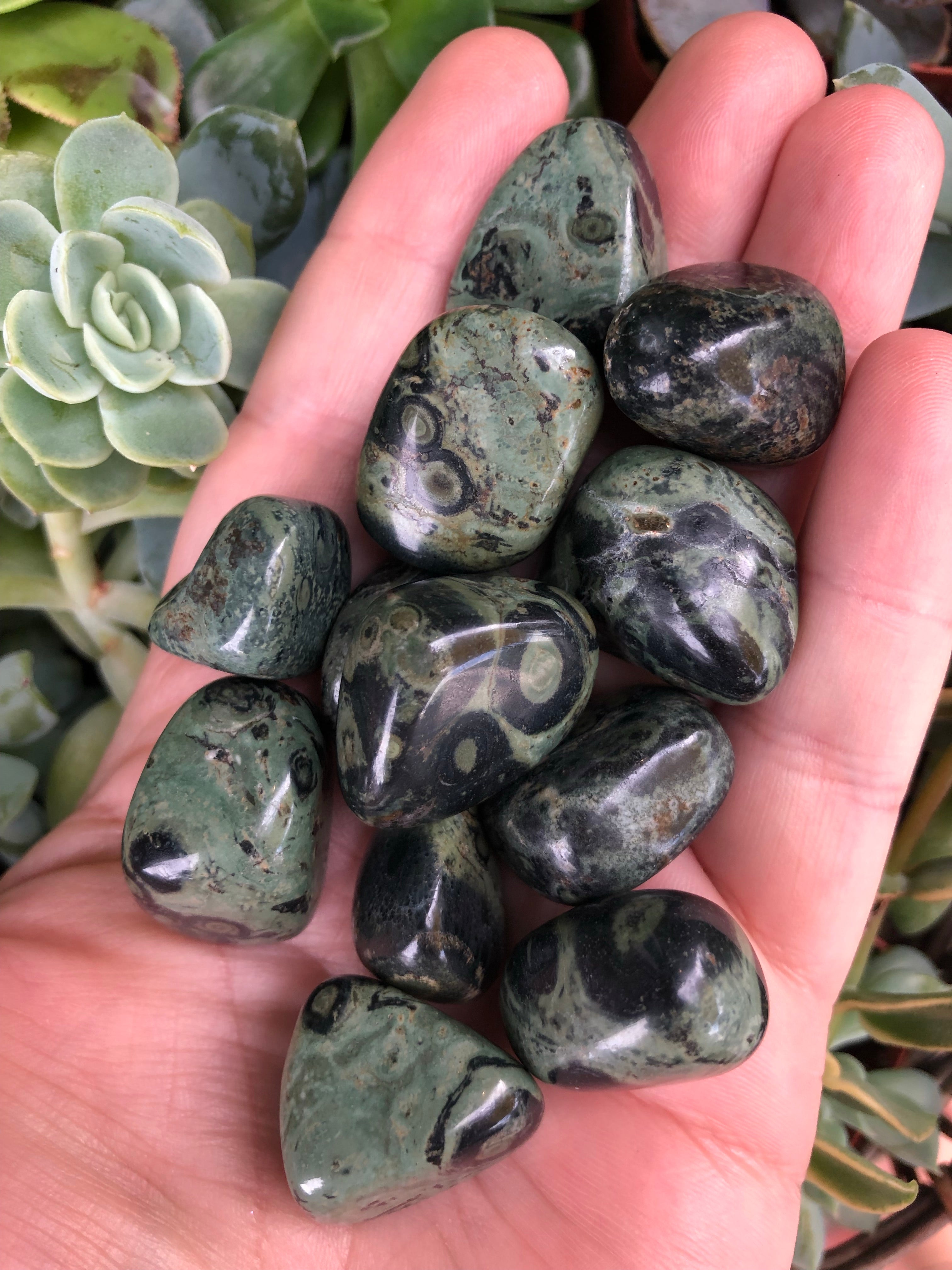 Kambaba Jasper Tumbled Stone