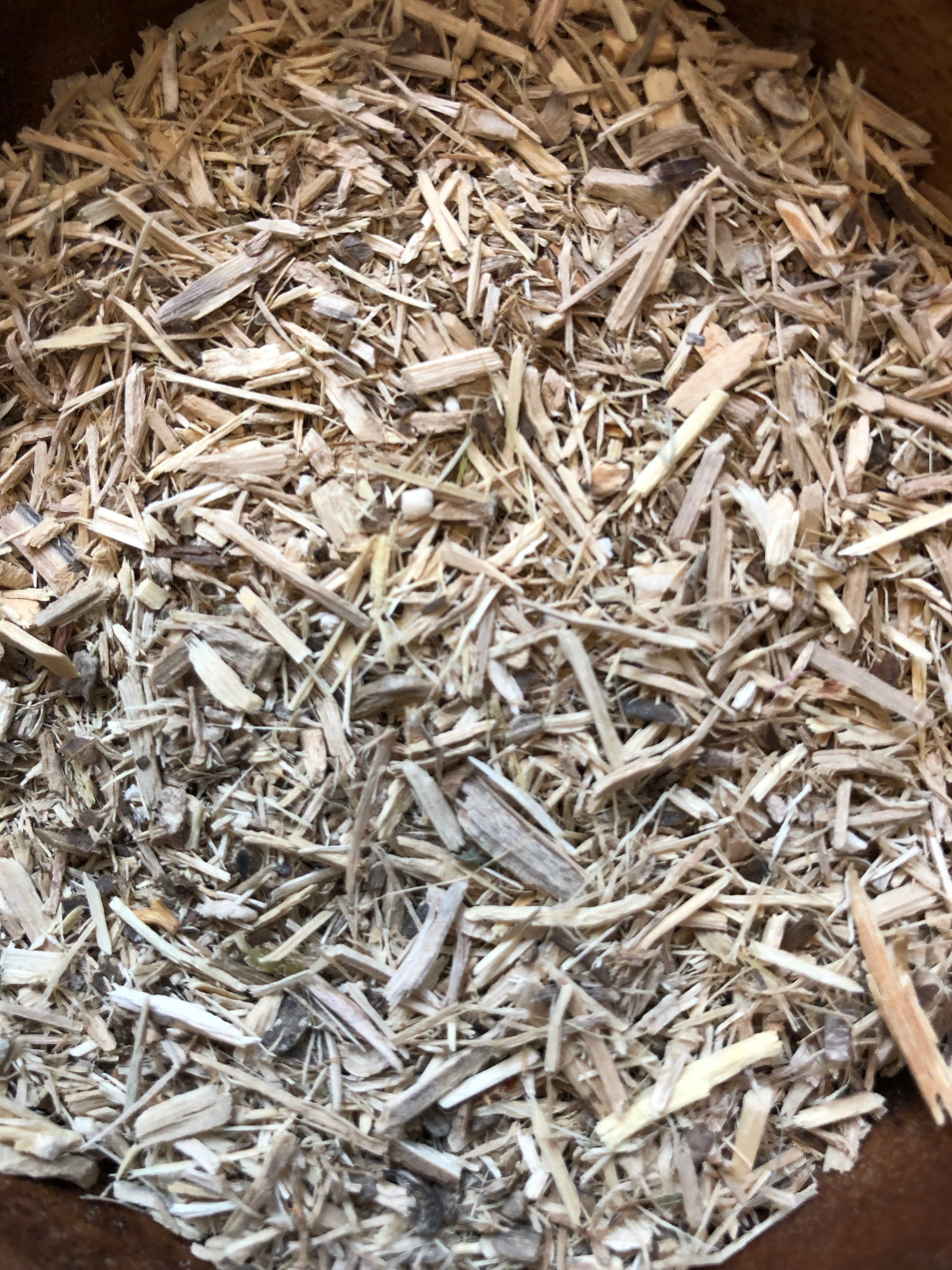 Eleuthero Root for Energy Healing
