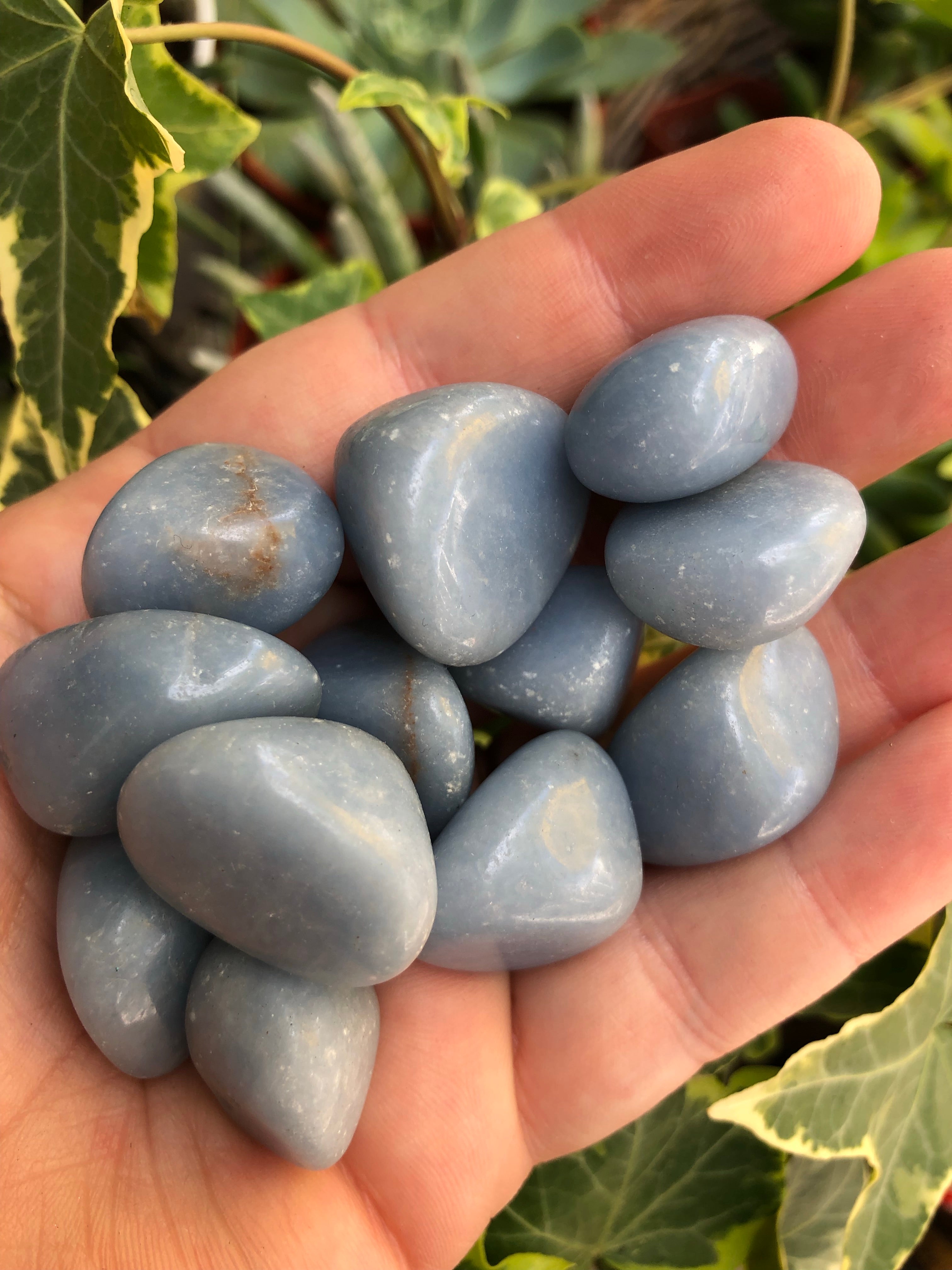 Angelite Tumbled Stone