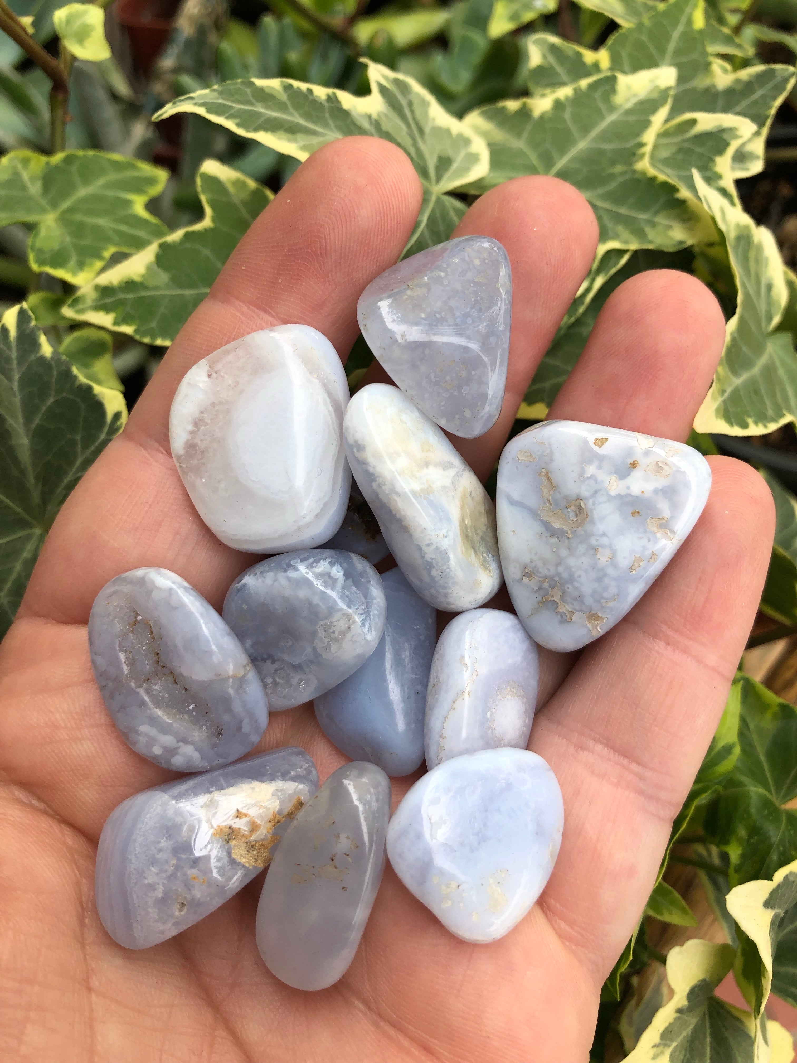 Blue Lace Agate Tumbled Stone
