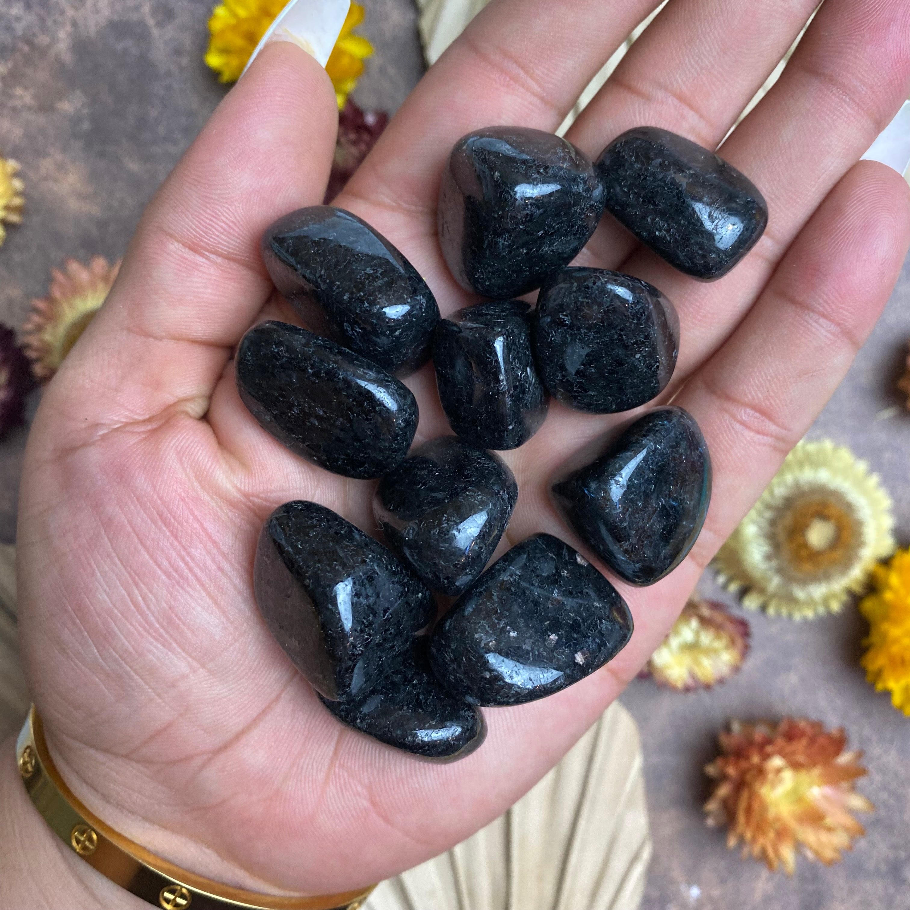 Nuumite Tumbled Stone