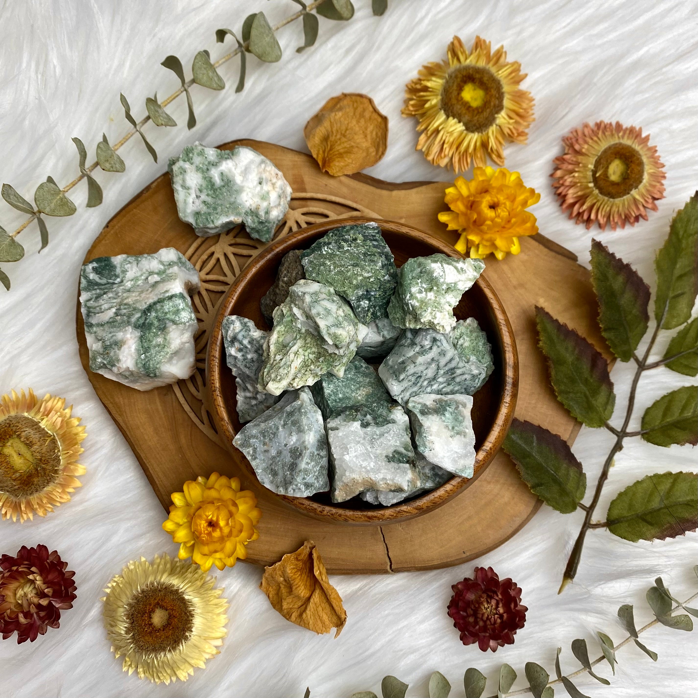Tree Agate Raw Chunk