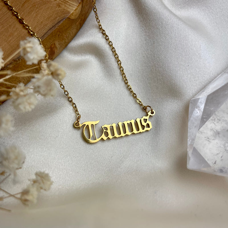 Zodiac Necklace - Choose Your Sign!