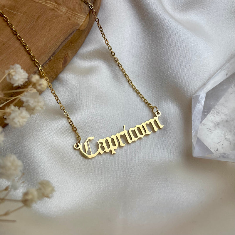 Zodiac Necklace - Choose Your Sign!