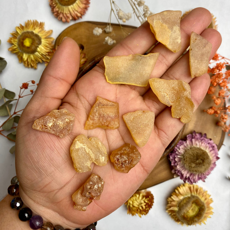 Amber Rough Pieces