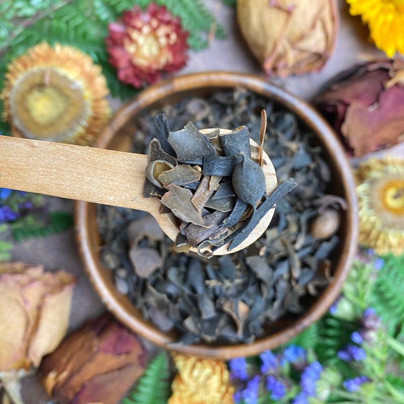 Bladderwrack
