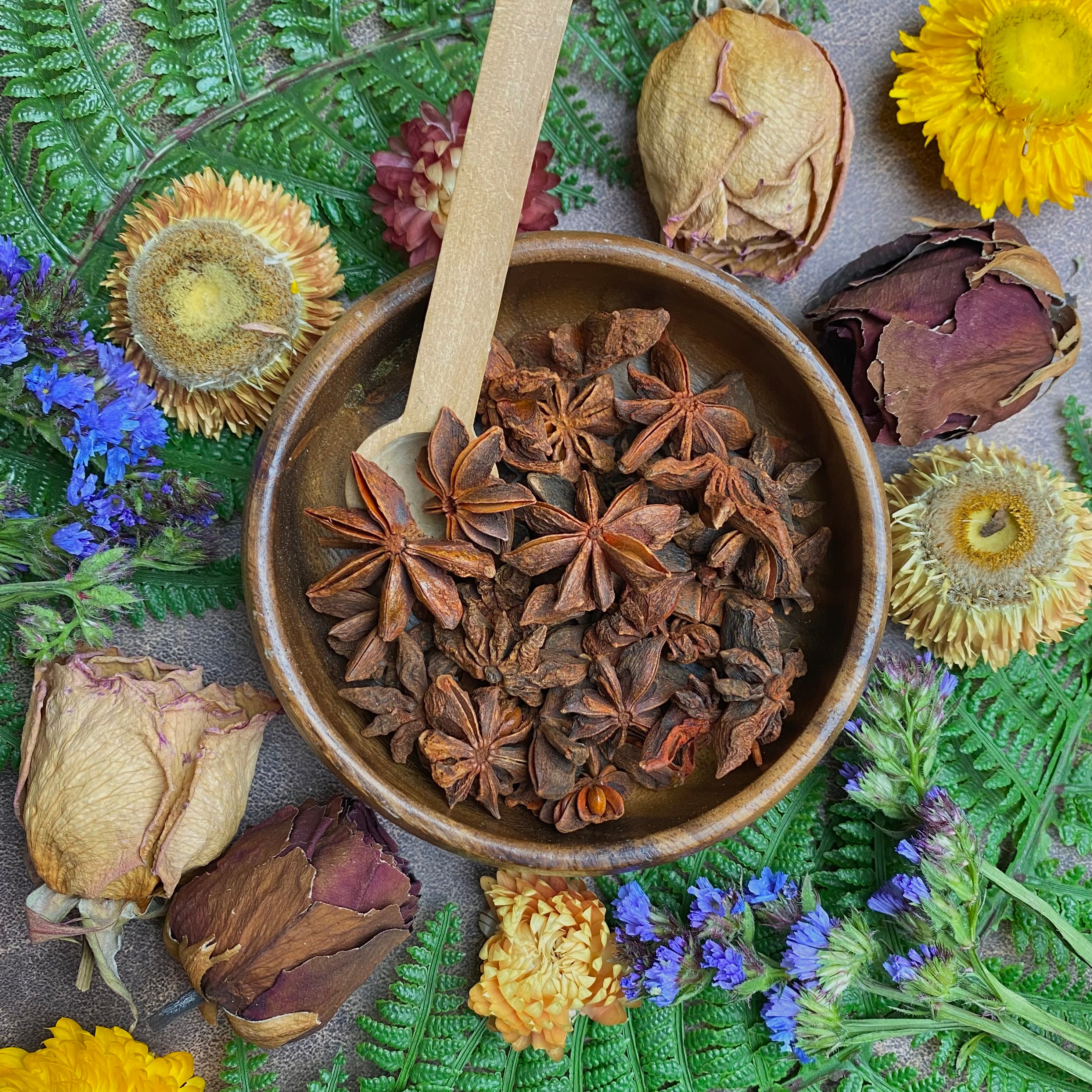Star Anise